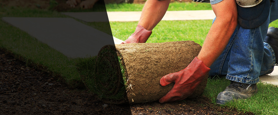 Le Claire Landscapers